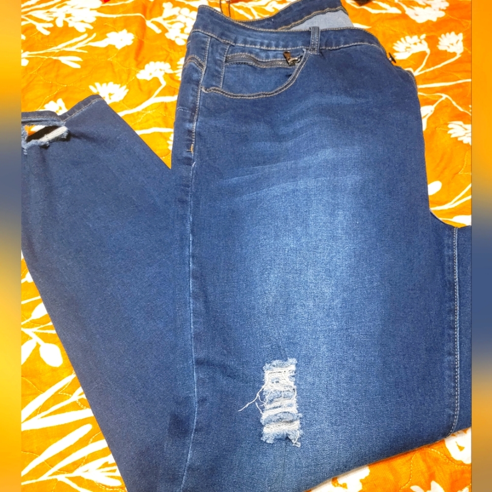 NWT Le Dor Distress Jeans 20w